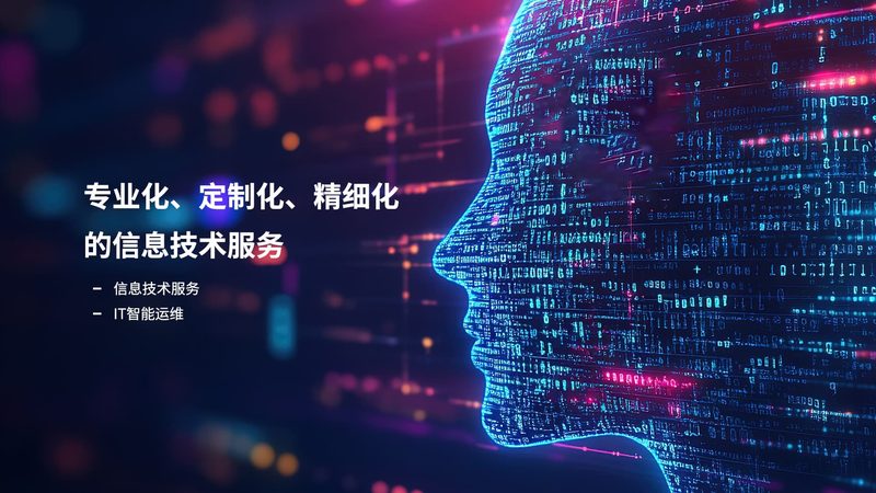 定制化服务器巡检报告，揭秘IT运维背后的关键